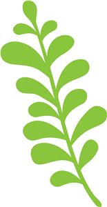 155x300 Pin By Roshida Mohamed Aris On Flower Butterfly