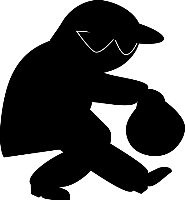 592x640 Free Photo Burglar Predator Theft Thief Crook Criminal Sneak