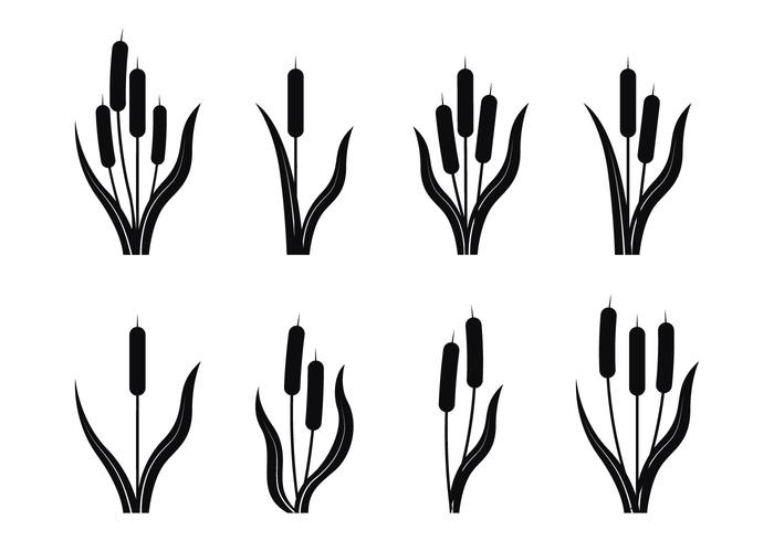 700x490 Cattails Silhouette