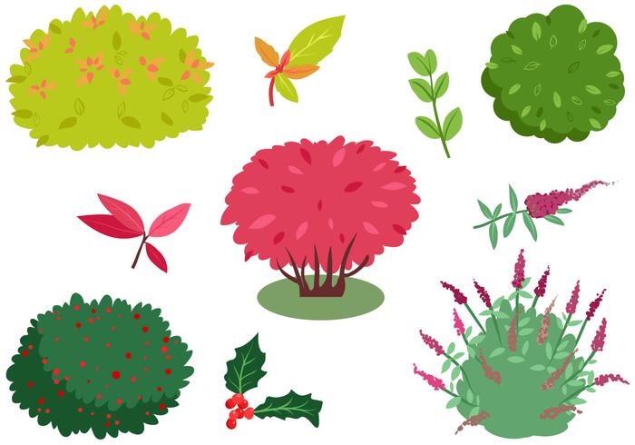 700x490 Bush Free Vector Art