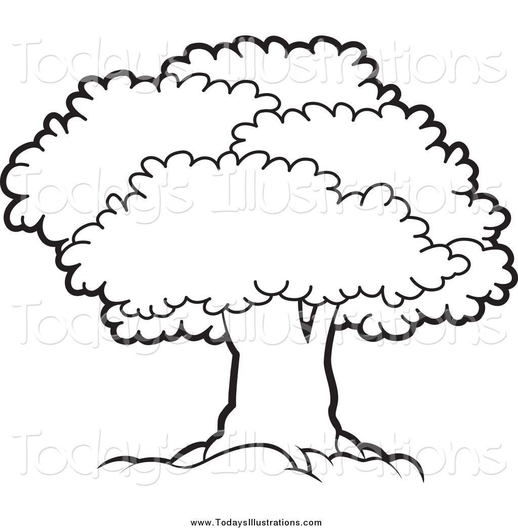 1024x1044 Bushes Clipart Black And White Collection