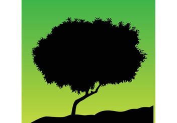 352x246 Tree Silhouettes Free Vector Download 141407 Cannypic