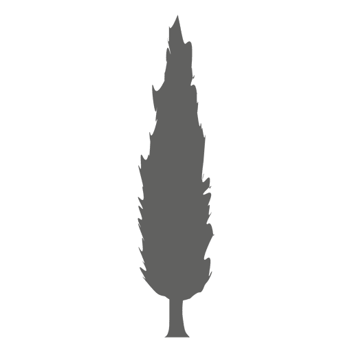512x512 Bush Tree Silhouette 1