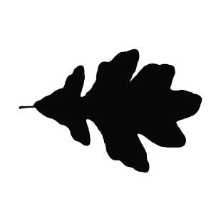 310x310 Oak Leaf Silhouette