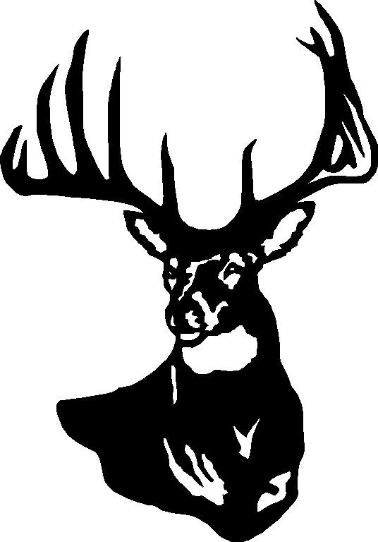 536x768 Deer Clipart Bust