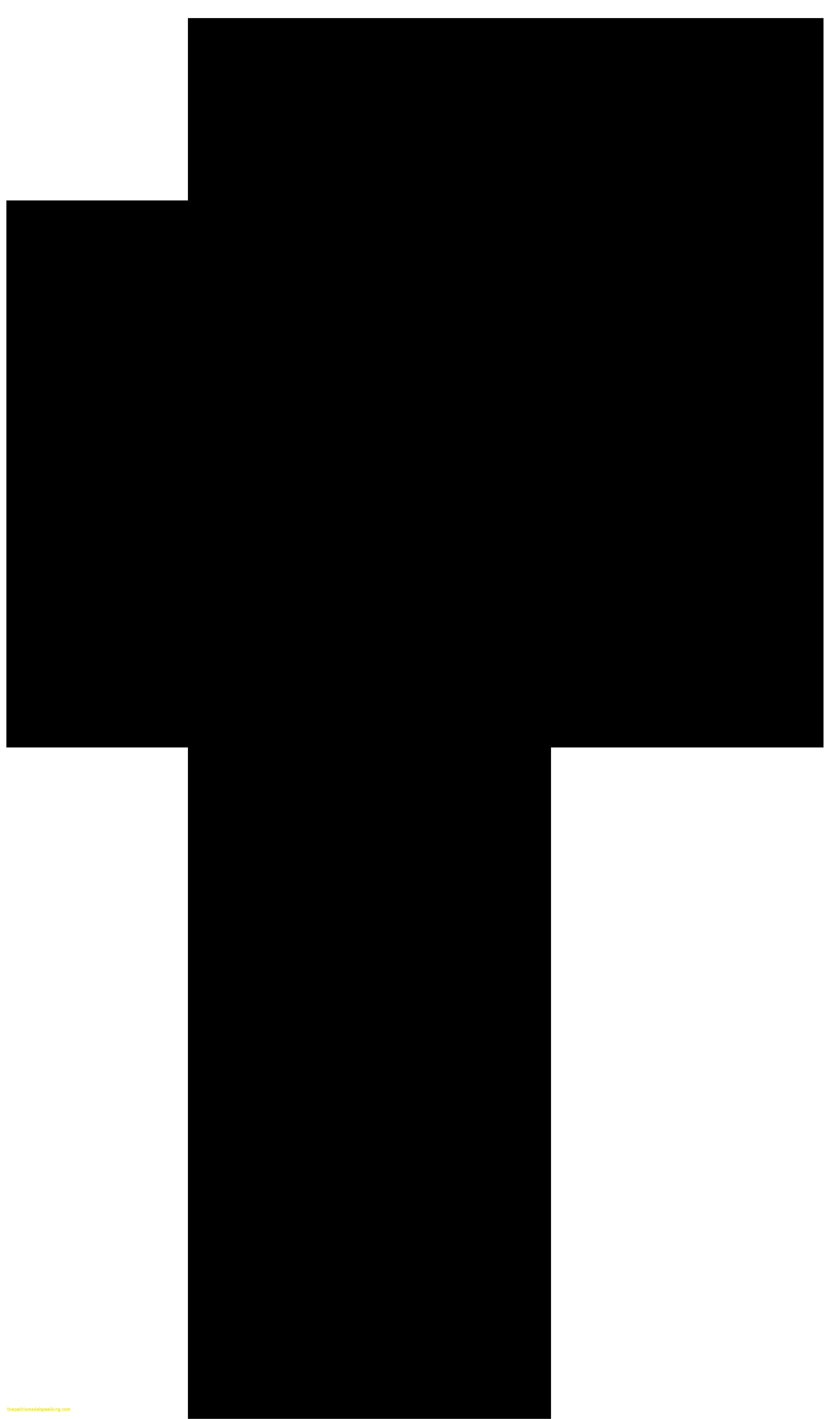 4738x8000 Palm Tree Clip Art Transparent Background Unique Pin By Kelly