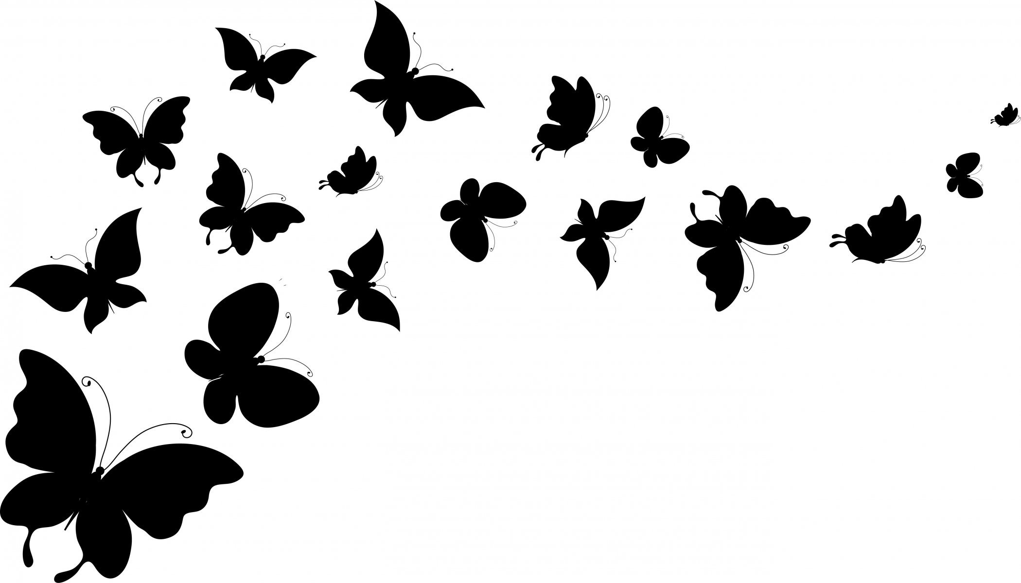 2100x1200 Butterfly Silhouettes Wings Background White Hd Wallpaper