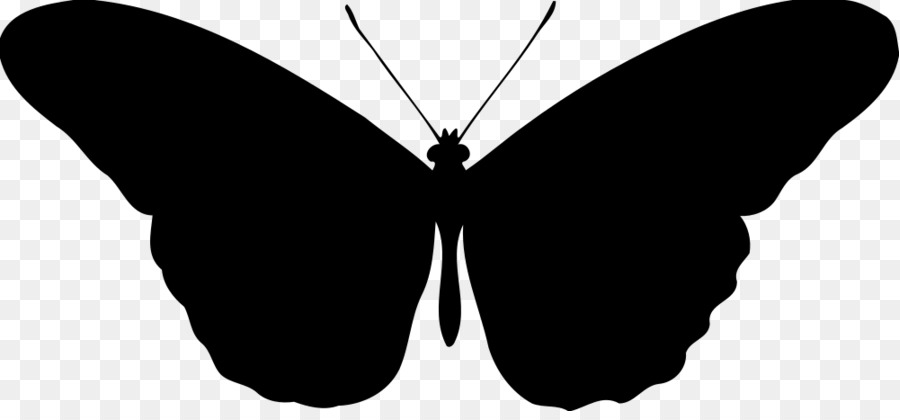 900x420 Butterfly Silhouette Clip Art