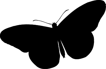 368x240 Butterfly Silhouette Png Clipart Panda