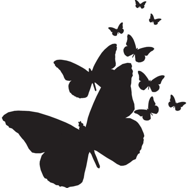 736x736 33 Best Butterfly Silhouette Tattoo Images