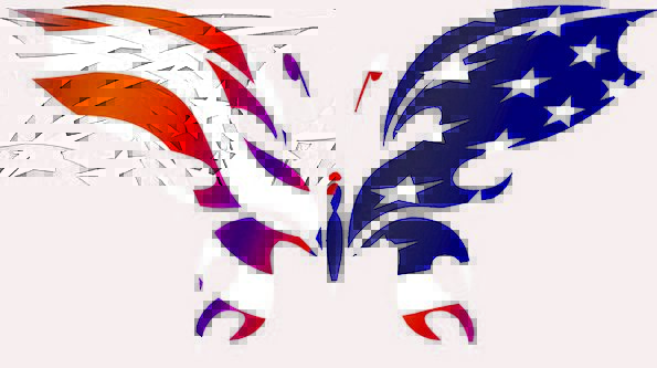 595x333 Butterfly, Flag, Standard, Usa, Insect, Bug, Silhouette, Cartoon