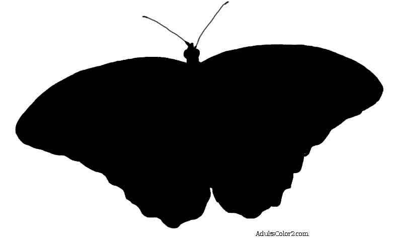 781x481 Butterfly Outline Or Silhouette Basic Butterfly Shapes