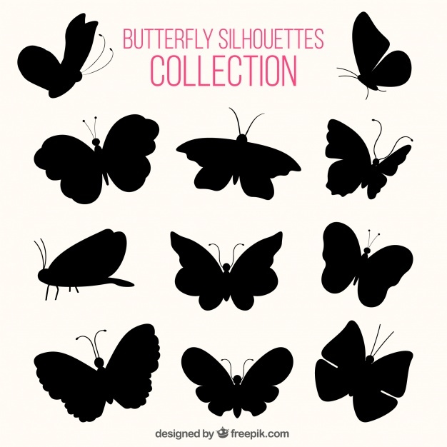 626x626 Butterfly Silhouette Vectors, Photos And Psd Files Free Download