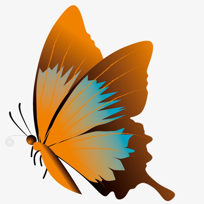 650x650 Vector Butterfly Silhouette, Insect, Shape, Bug Png And Vector