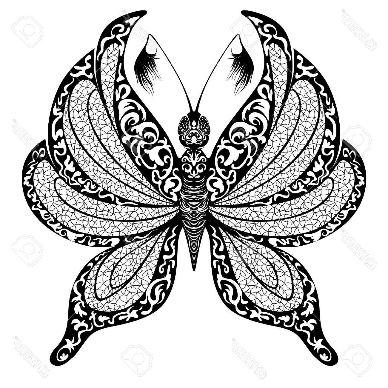 1300x1300 Best 15 Silhouette Of Butterfly On Transparent Background Stock