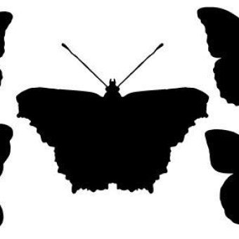340x340 Butterfly Silhouette Vectors Download Free Vector Art