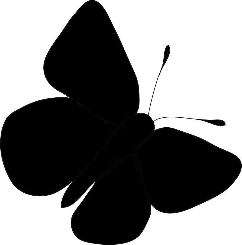 800x810 Butterfly Silhouette Clip Art Clipartlook