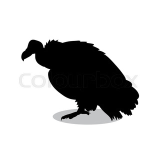 320x320 Silhouette Of Buzzard Stock Vector Colourbox