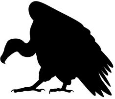 235x202 Buzzard Silhouette Clip Art