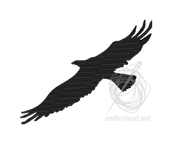 570x479 Bird Buzzard Hawk