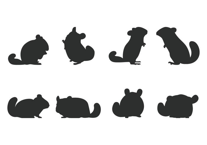 700x490 Chinchilla Silhouette