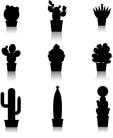 376x458 Cactus Silhouettes On White Background Premium Clipart