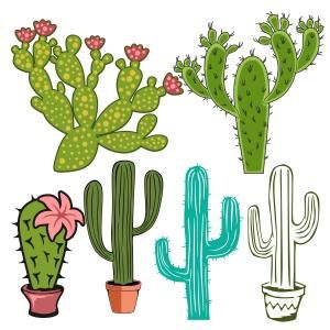 300x300 Flowering Cactus Clipart Silhouette