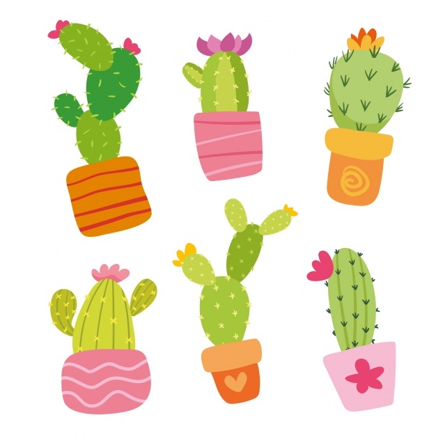 626x626 Cactus Vectors, Photos And Psd Files Free Download