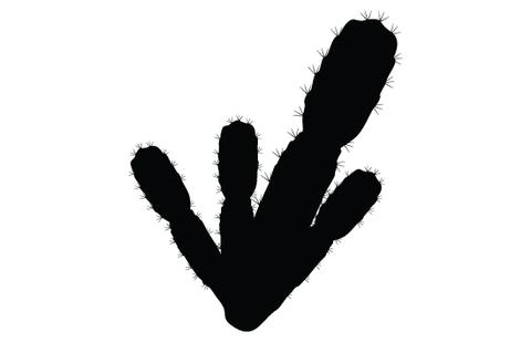 480x309 Cactus Plant Silhouette Vector Silhouettes Vector