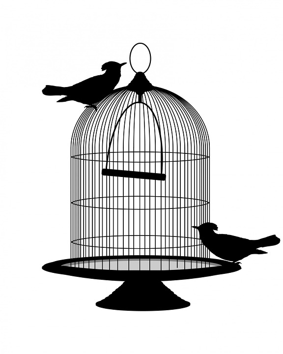 576x720 Free Photo Vintage Cage Black Birdcage Birds Bird Silhouette