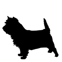 Cairn Terrier Silhouette at GetDrawings | Free download