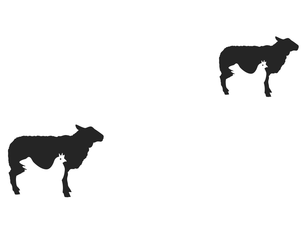 1000x800 Modern, Conservative Logo Design For Ewa Placzynska By Sg