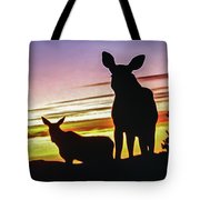 180x180 Sundown Silhouette Of Cow Moose And Calf Photograph By Elizabeth