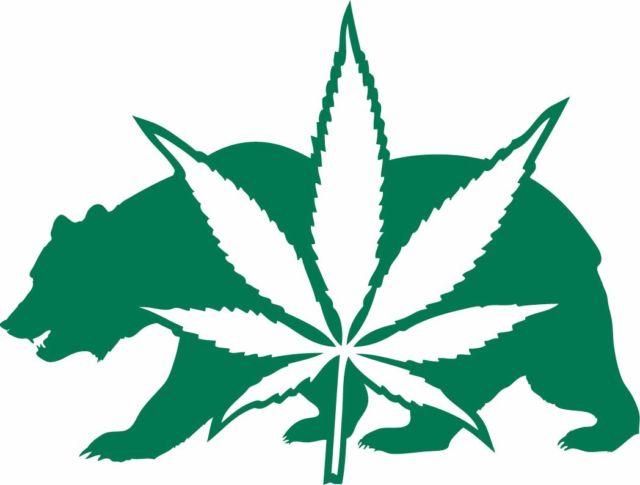 640x485 A Weed Leaf California Bear Silhouette Sticker Or Decal Vinyl Cut