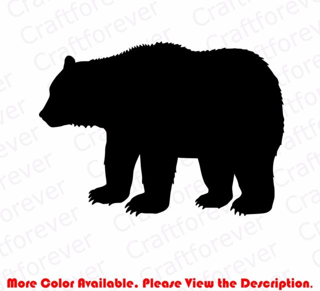 640x583 Bear Stuff Collection On Ebay!