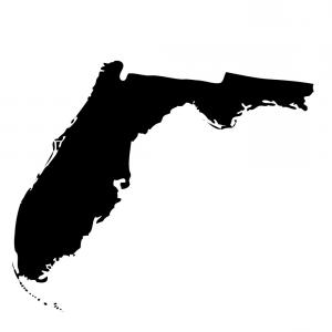 300x300 Florida County Map Vector Outline Gm Lazttweet
