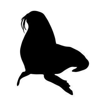 339x340 Free Silhouette Vector