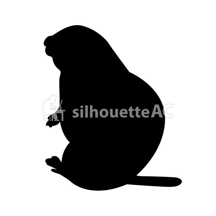 750x750 Free Silhouette Vector An Illustration