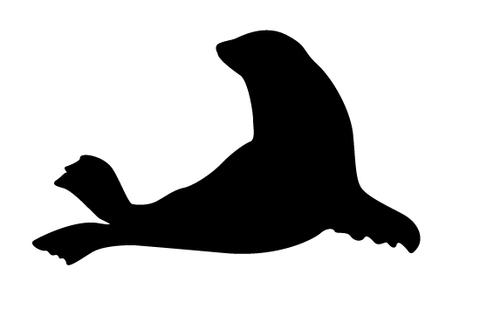 480x309 Seal Silhouette Vector Silhouettes Vector