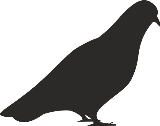 549x432 Bird Dove Silhouette Vector Coreldraw Vector (.cdr) File Free