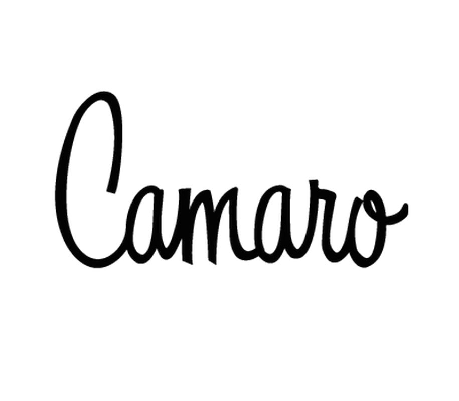 915x800 Camaro Logo Decal