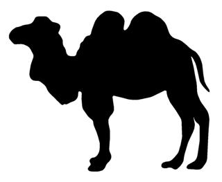 320x263 Camel Silhouette 7 Decal Sticker