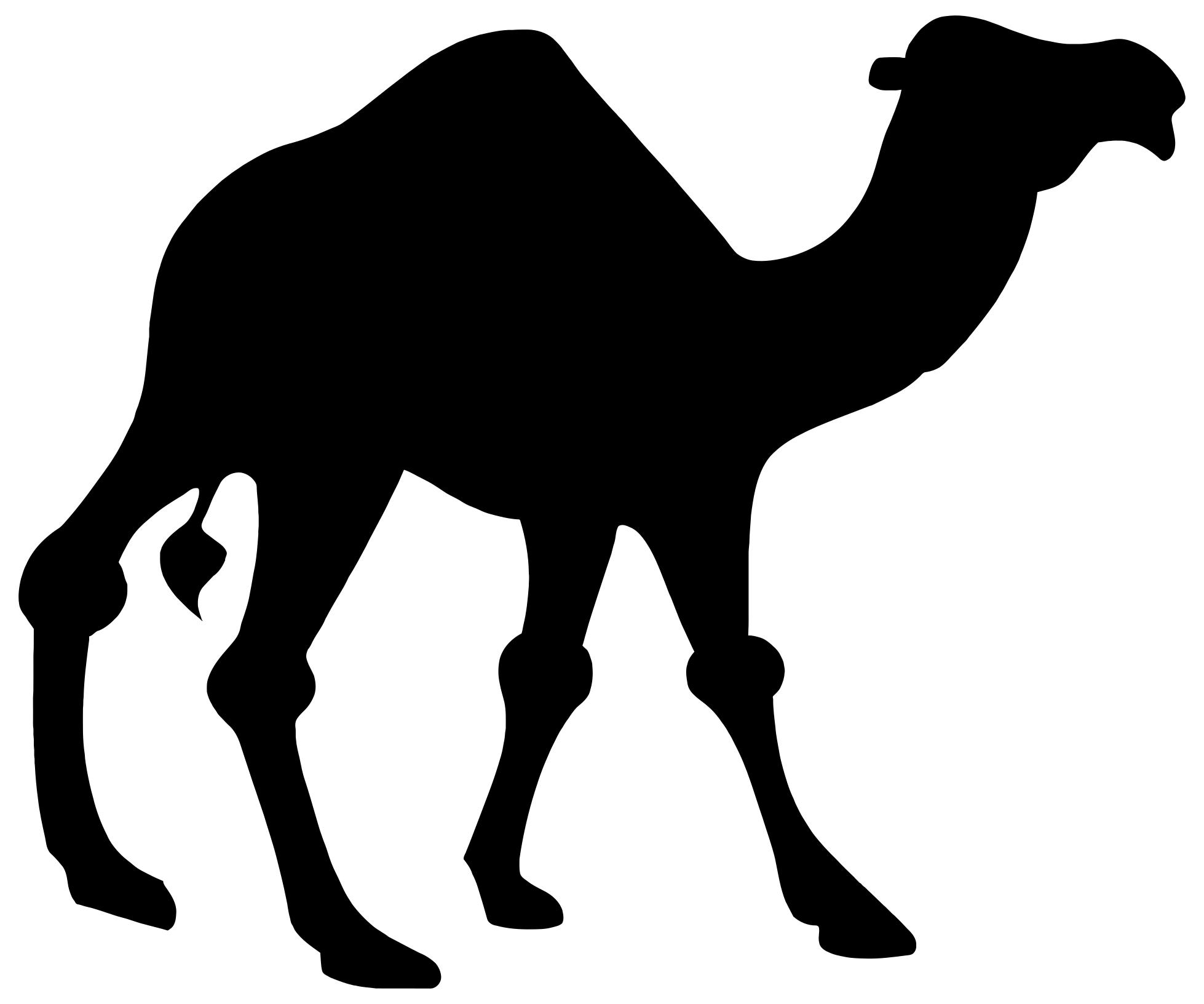 1958x1632 Camel Silhouette Clipart