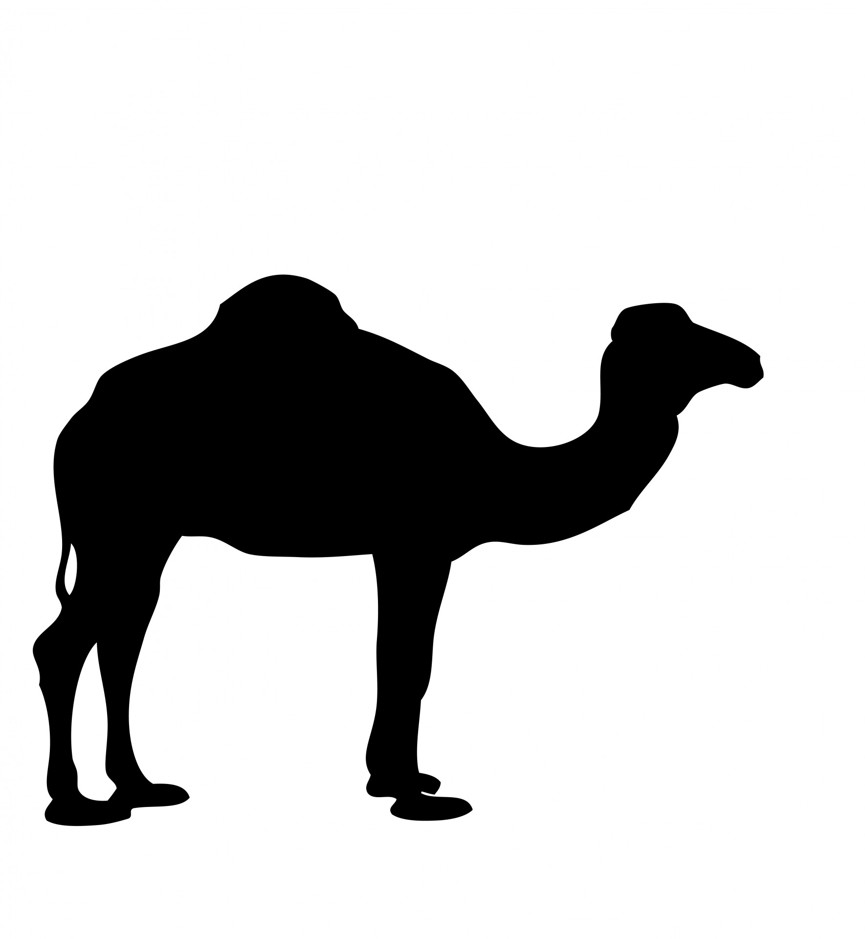 1769x1920 Camel Silhouette Free Stock Photo