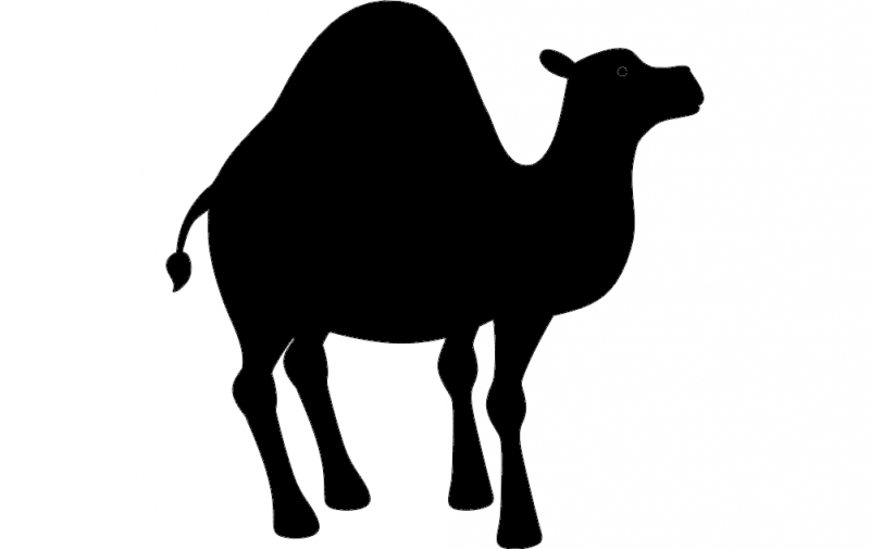 800x505 Camel Silhouette Vector Dxf File Free Download