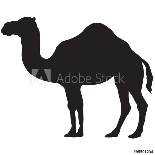 500x500 Camel Silhouette Vector