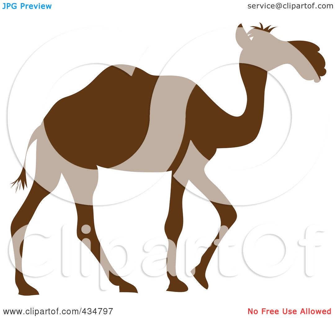 1080x1024 Camel Silhouette Clip Art Clipart Seven Management And Planning