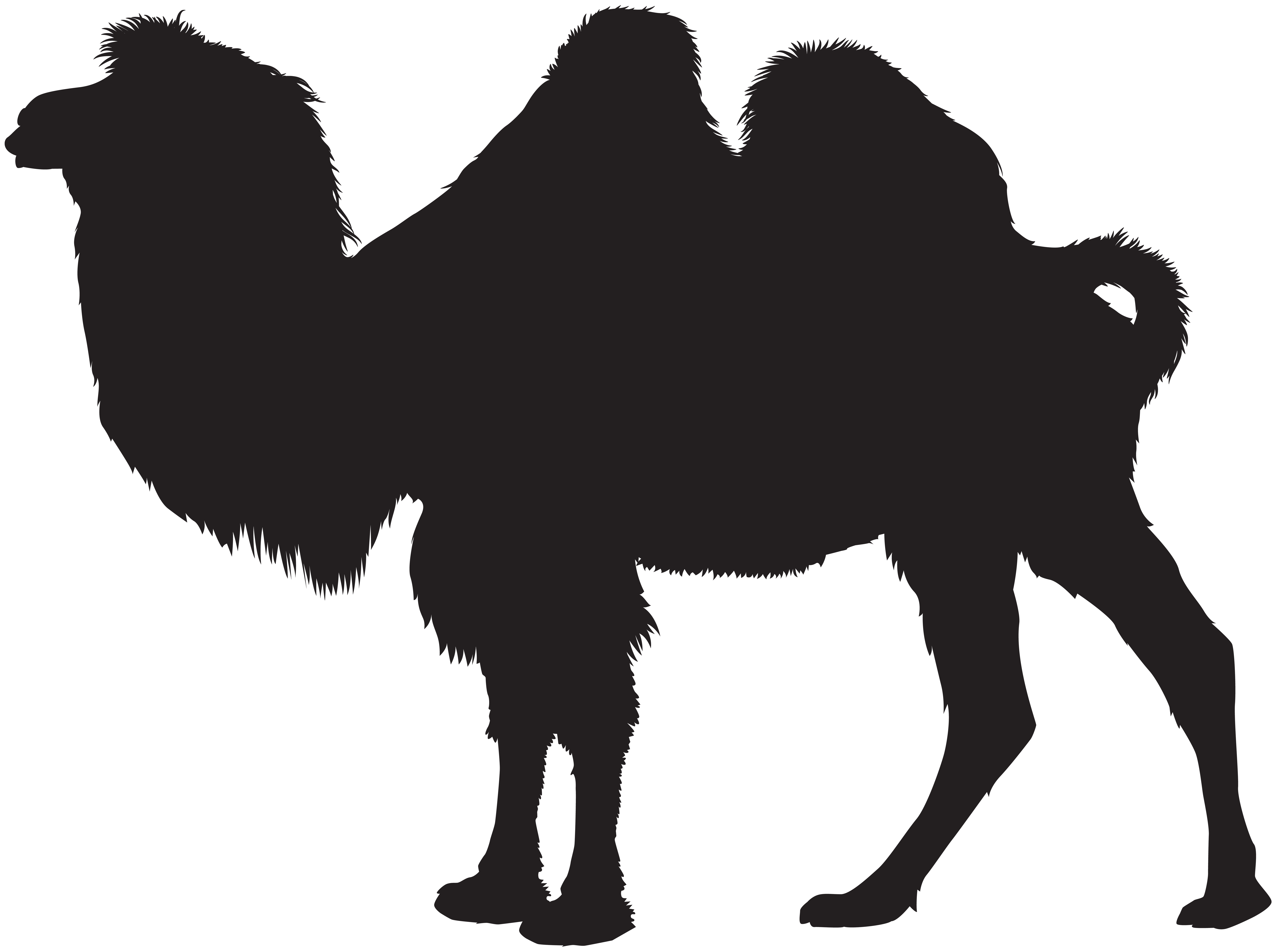 8000x5948 Camel Silhouette Png Clip Art Imageu200b Gallery Yopriceville