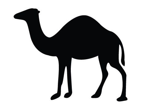 500x350 Free Camel Silhouette Vector For Download