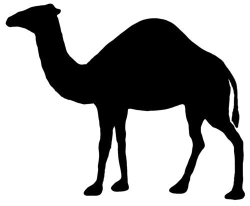 500x412 Animal Silhouettes Google Images, Camels And Silhouettes